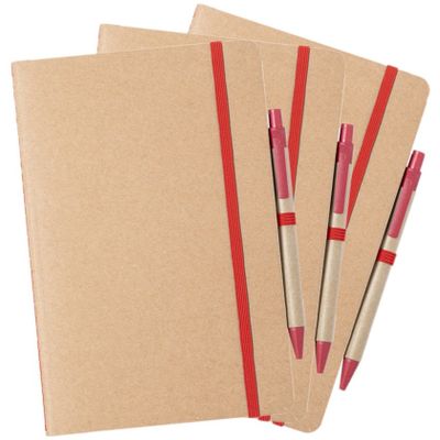 Set van 6x stuks natuurlijn schriftjes/notitieboekjes karton/rood met elastiek A5 formaat