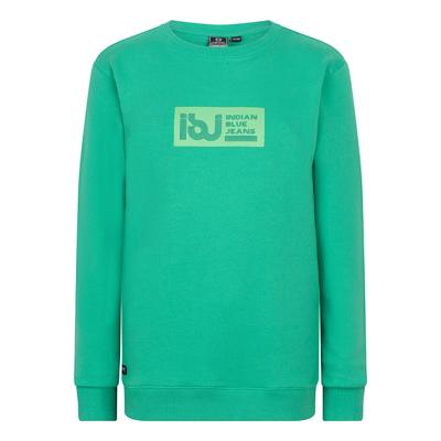 Sweater IBJ Jeans Spring Green