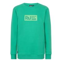 Sweater IBJ Jeans Spring Green