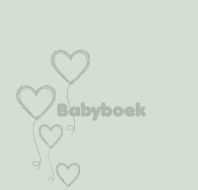 Babyboek (Hardback)