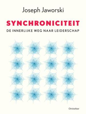 Synchroniciteit (Paperback)