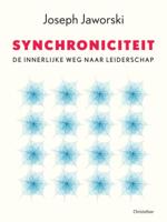 Synchroniciteit (Paperback)