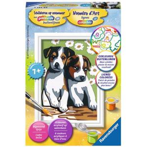 Ravensburger Schilderen Op Nummer Schattige Puppies