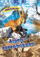 Alpen Steenbokken (Hardback)