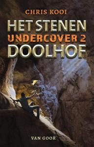 Het stenen doolhof (Hardback)