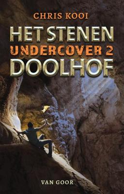 Het stenen doolhof (Hardback)