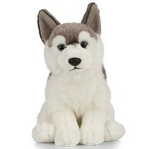 Pluche grijs/witte Husky hond knuffel 25 cm -Honden huisdieren knuffels - Speelgoed voor kinderen