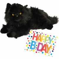 Pluche knuffel kat/poes zwart 30 cm met A5-size Happy Birthday wenskaart - thumbnail