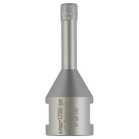 Bosch Accessoires Diamantboor Dryspeed 8X30 - 2608599040