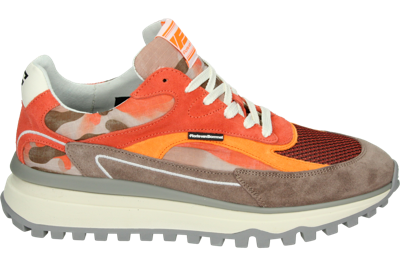 Floris van Bommel DE GRIPPER 08.00 - alle