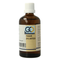 Fagus sylvatica bio 100 Milliliter