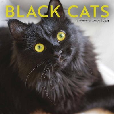 Zwarte Katten Kalender 2026