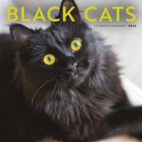 Zwarte Katten Kalender 2026