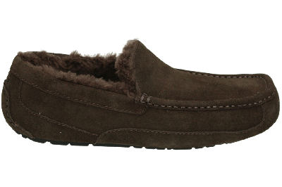 UGG ASCOT M - alle