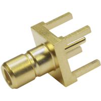 Telegärtner 100024844 100024844 SMB-connector Stekker, inbouw verticaal 50 Ω 1 stuk(s)