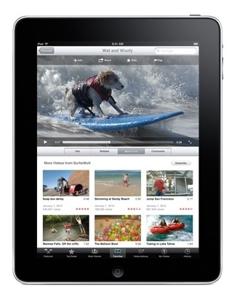 Apple iPad 16 GB 24,6 cm (9.7") Zwart, Wit