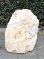 Fossiel Hout MA23-2, 40 cm