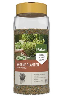 Groene Planten Voedingskorrels 800gr - Pokon
