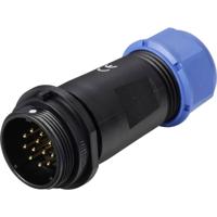 Weipu SP2111 / P 12 II Ronde connector Stekker, recht Totaal aantal polen: 12 Serie (ronde connectoren): SP21 1 stuk(s)
