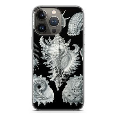 Haeckel Prosobranchia: iPhone 13 Pro Transparant Hoesje