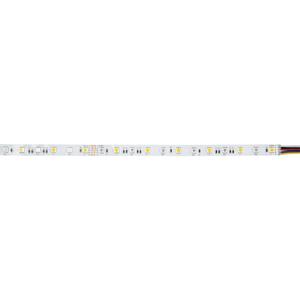 Brumberg 38204002 38204002 LED-strip 5 m RGBW 1 stuk(s)