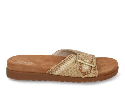 Toms Marin slide 10023094 dark beige Beige maat 39