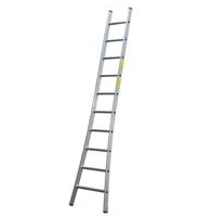 Little Jumbo SuperPRO Enkele uitgebogen ladder geanodiseerd - 10 sporten - 1250300110