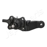 Fuseekogel BJ217R