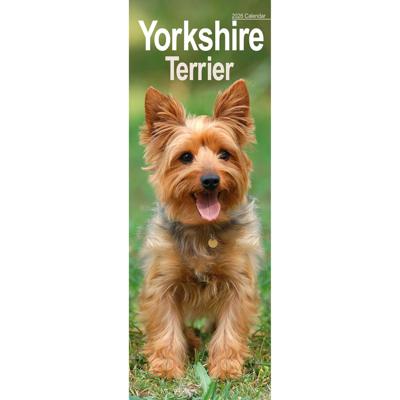 Yorkshire Terrier Kalender 2026 Slimline
