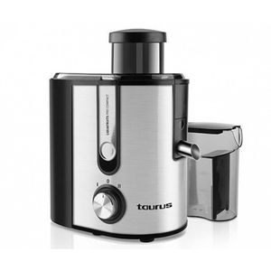 Taurus Liquafruits Pro compact 0,35 l Blender voor op aanrecht 600 W Zwart, Roestvrijstaal