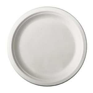 48x Witte suikerriet dinerbordjes 26 cm biologisch afbreekbaar