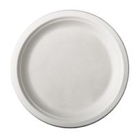 48x Witte suikerriet dinerbordjes 26 cm biologisch afbreekbaar