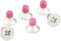 TRW Screw 6pcs. 6x10mm