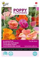 Poppies of the world - Thai Silk - Buzzy