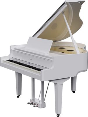 Roland GP-9 PW digitale vleugel