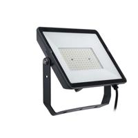 Bouwlamp Philips 150 W - thumbnail