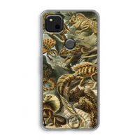 Haeckel Lacertilia: Google Pixel 4a Transparant Hoesje