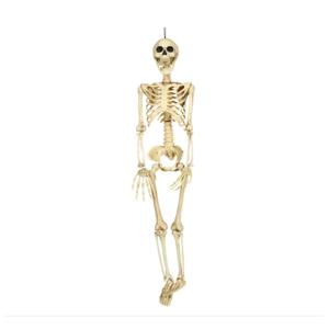 Horror/halloween decoratie skelet/geraamte pop - hangend - 90 cm