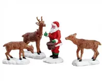 Santa Feeds Reindeer S4