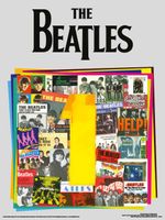The Beatles Albums Art Print 30x40cm
