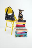 Tas met studs in leerlook - BLACK - U