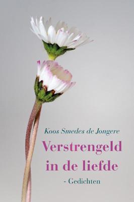 Verstrengeld in de liefde (Paperback)