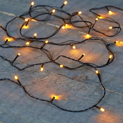 Kerstverlichting Ivy - 20 led lampjes - warm wit - 150 cm - lichtsnoer