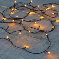 Kerstverlichting Ivy - 20 led lampjes - warm wit - 150 cm - lichtsnoer