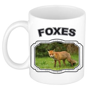 Dieren bruine vos beker - foxes/ vossen mok wit 300 ml