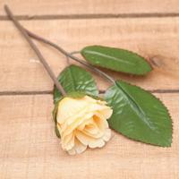 Bonbon doosjes - Chocolade doosje - Roos beige - 24 stuks