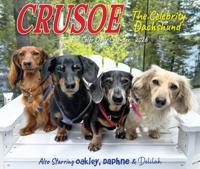 Crusoe de Teckel Scheurkalender 2026 Boxed