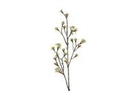 Decostar zijdebloem Acer 87 cm wit