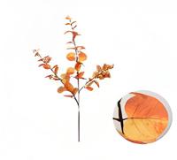 Money leaf tak oranje 104 cm - Buitengewoon de boet
