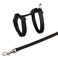 TRIXIE KITTENTUIG MET RIEM ASSORTI